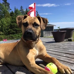 Meet your Posher, Maria